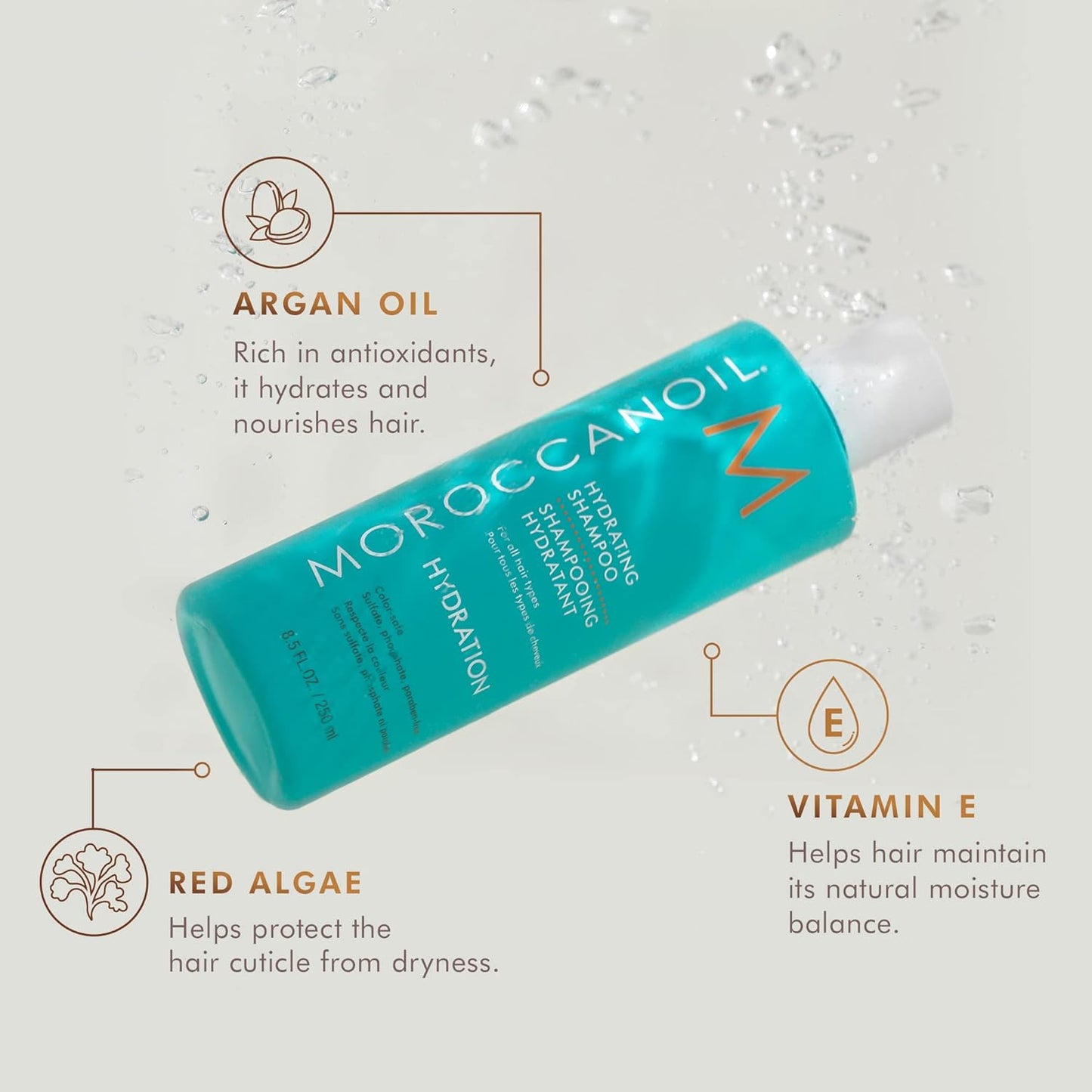 Moroccanoil Hydrating Shampoo (250ml)