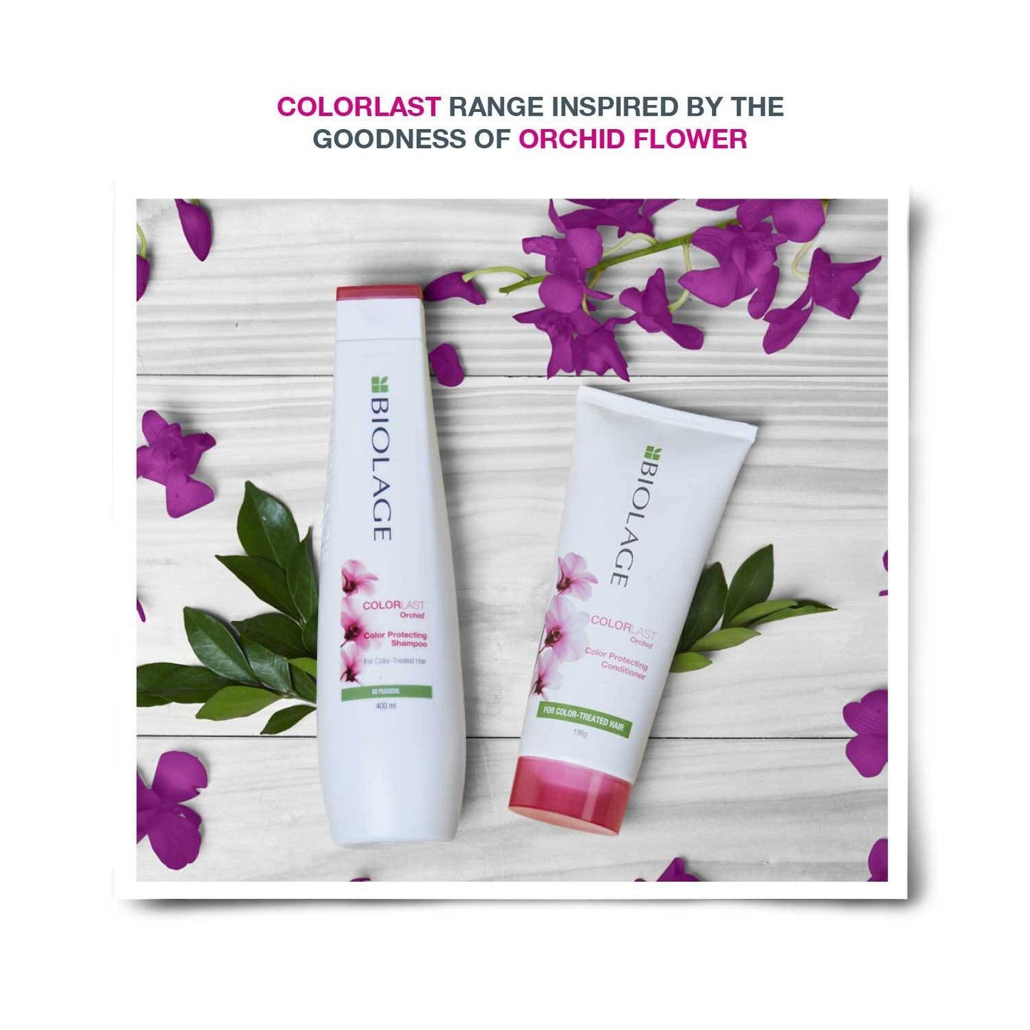 Matrix Biolage Professional Colorlast Shampoo, Helps Protect Colored Hair & Maintain Vibrancy (400 ml)