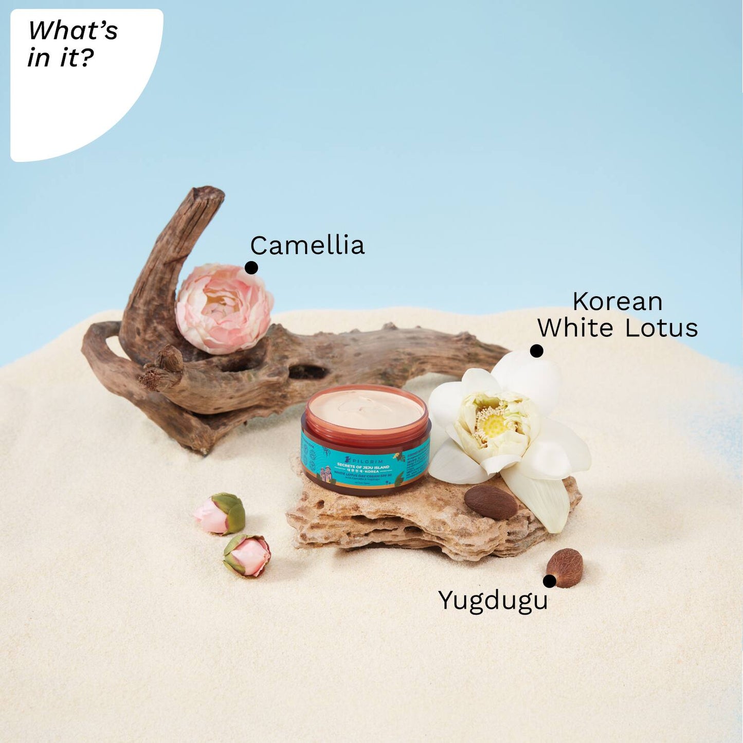 Pilgrim White Lotus Day Cream SPF 50 With Camellia & Yugdugu (100 g)